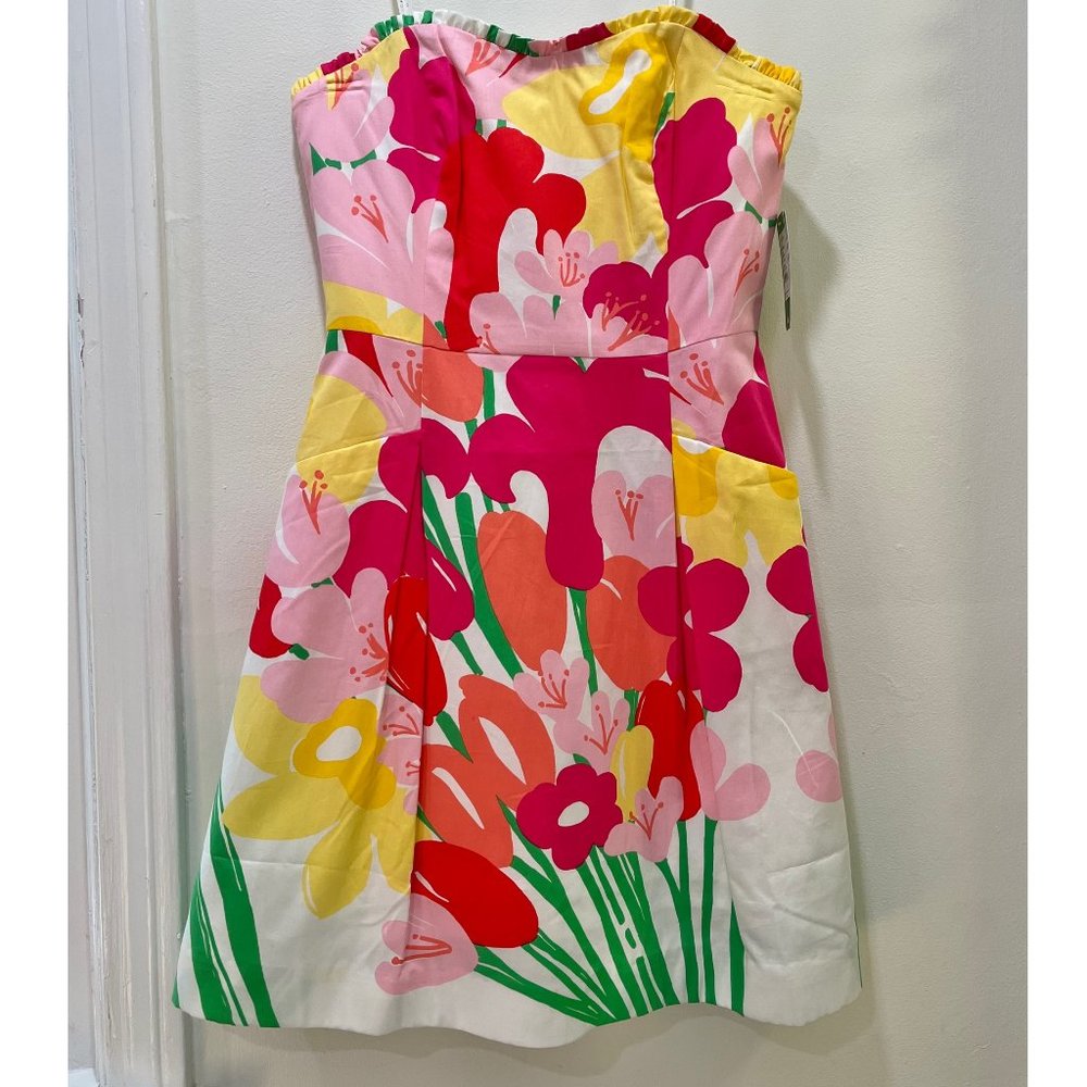 NWT Lilly Pulitzer Blossom Dress 6 Lavish Lillys